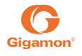 Gigamon